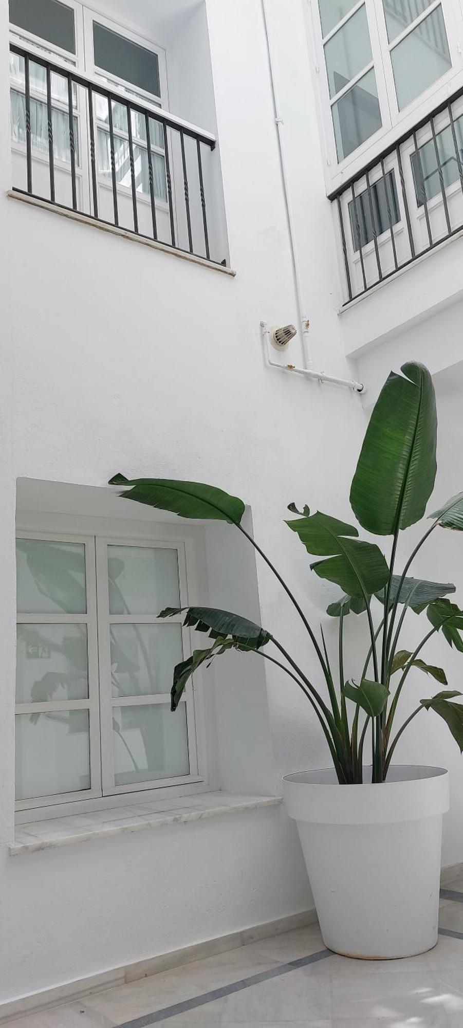 Ferienwohnung El 2 De Flamenco Bajob Cádiz Exterior foto
